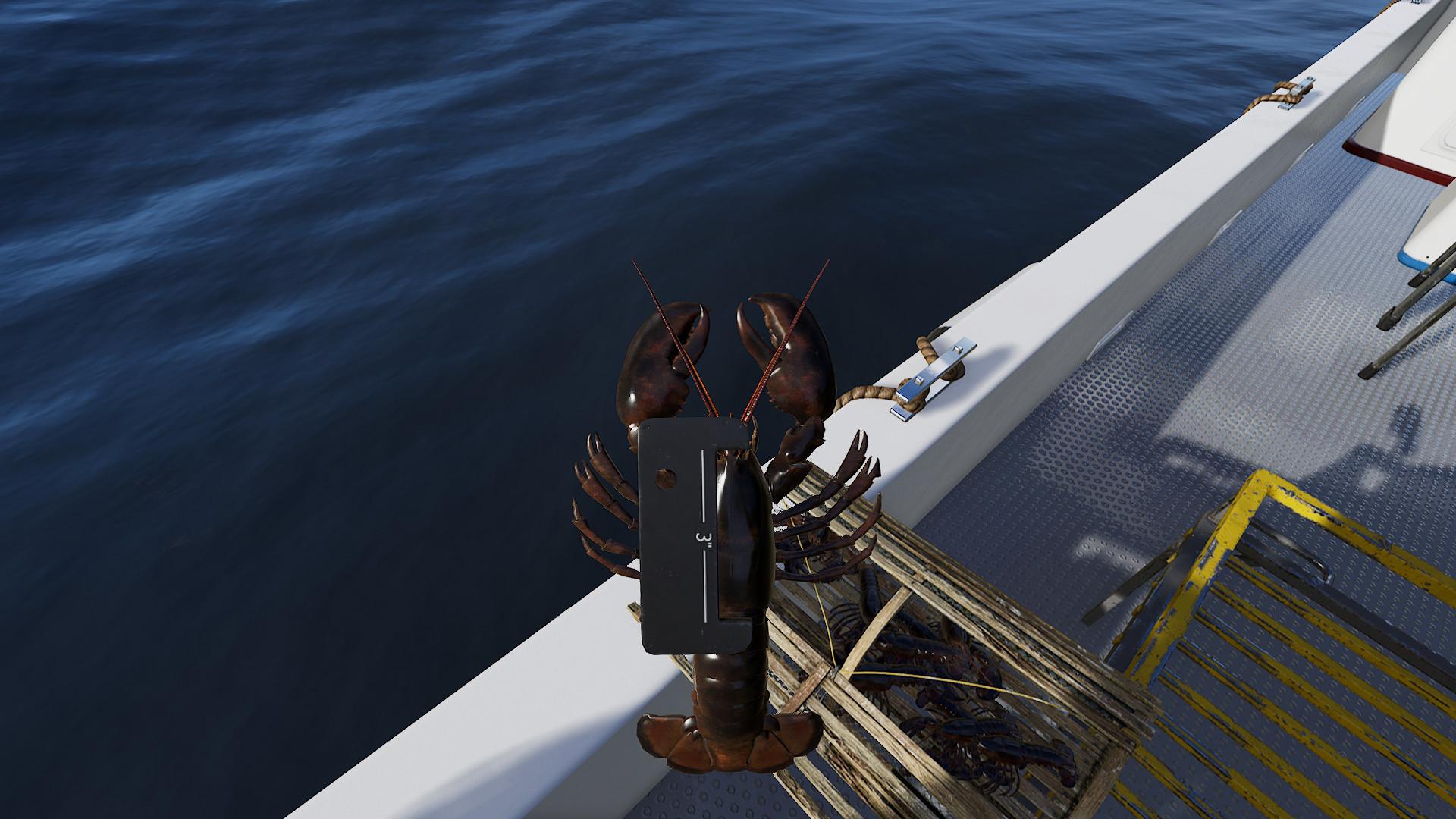 Screenshot №32 from game Fishing: North Atlantic - Enhanced Edition