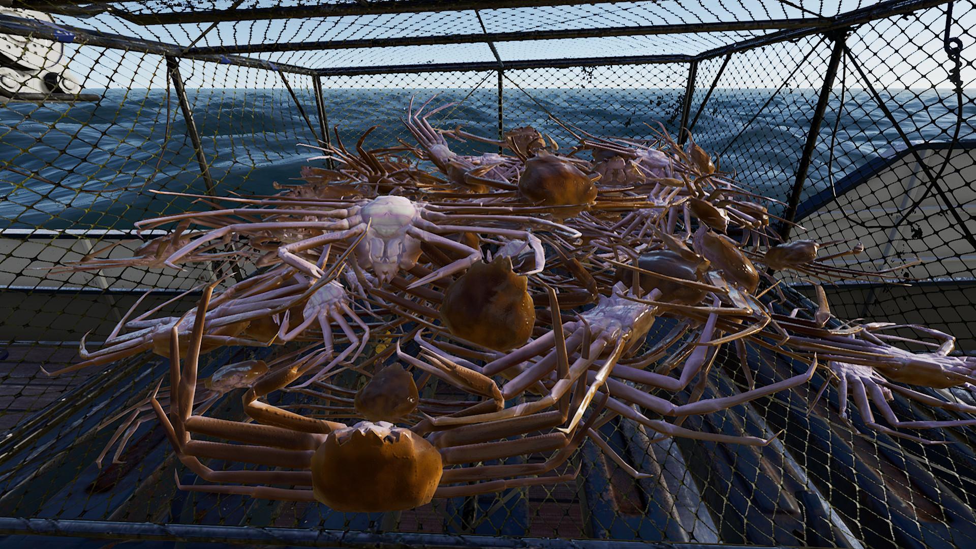 Screenshot №24 from game Fishing: North Atlantic - Enhanced Edition