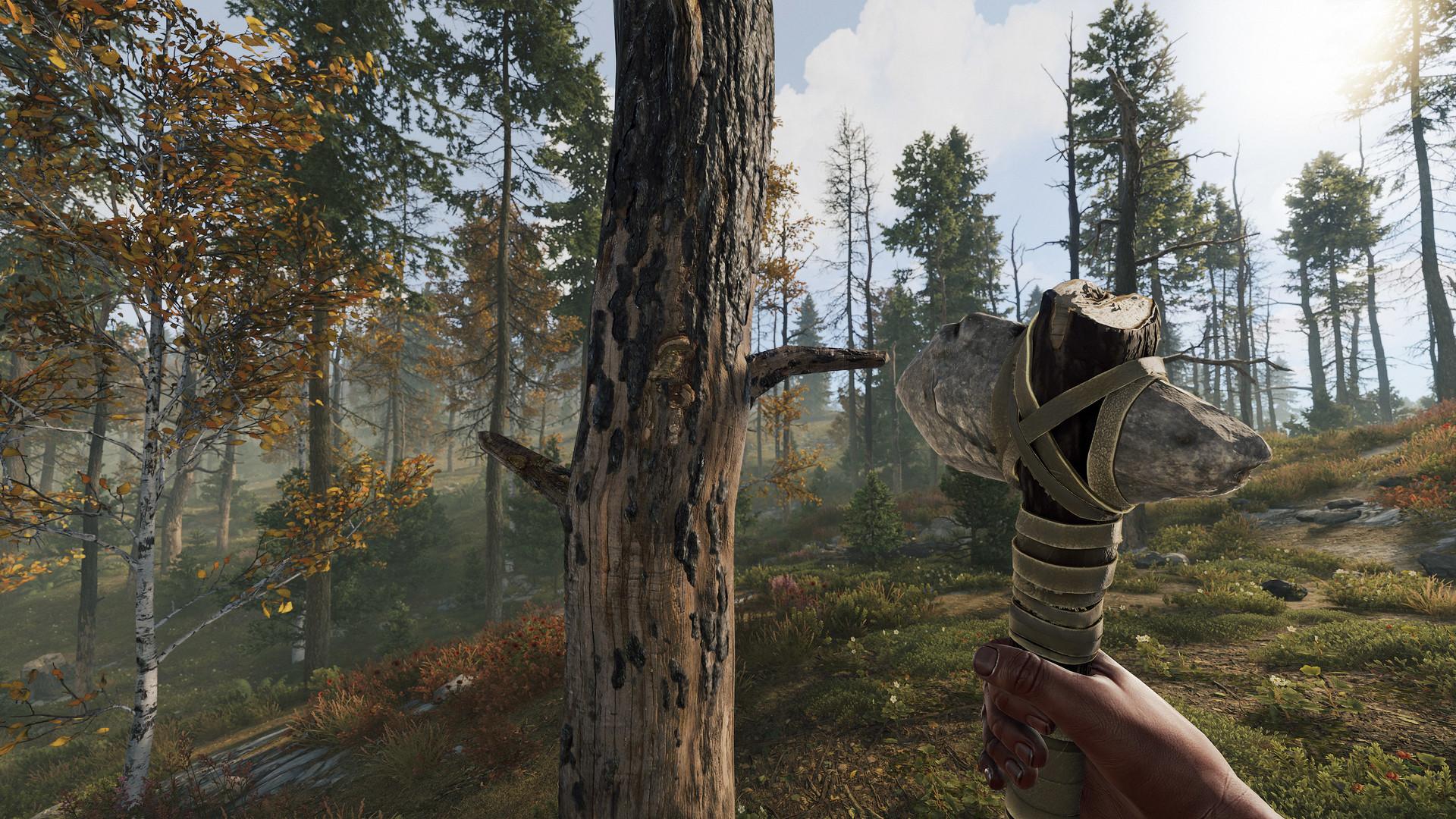 Screenshot №9 from game Rust