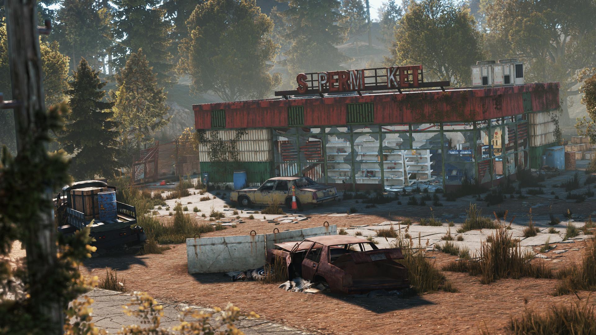Screenshot №25 from game Rust
