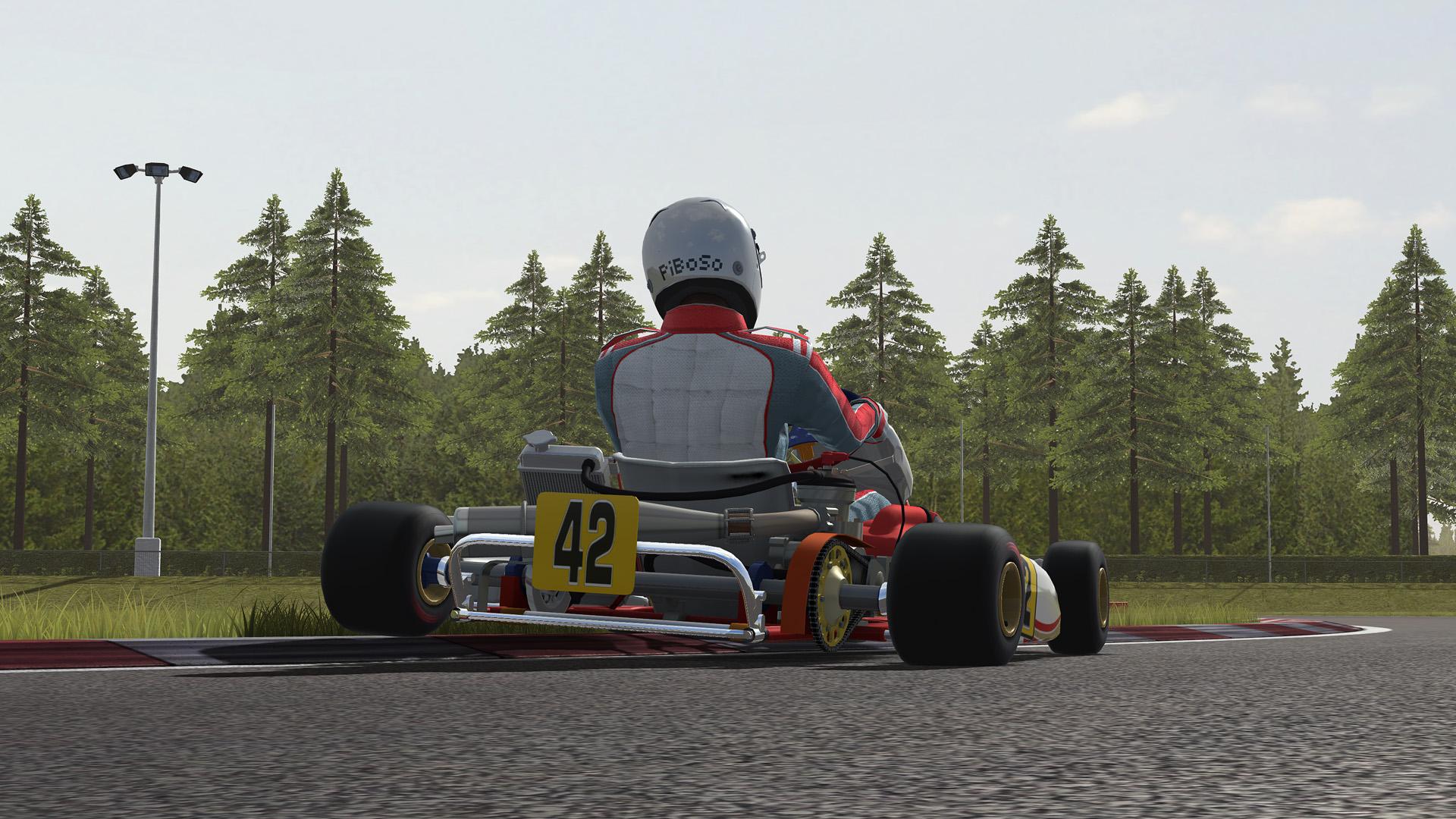 Скриншот №6 из игры Kart Racing Pro
