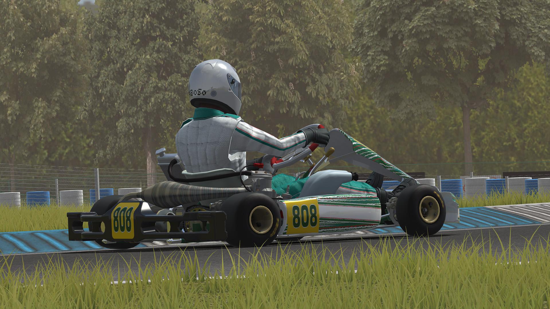 Скриншот №3 из игры Kart Racing Pro