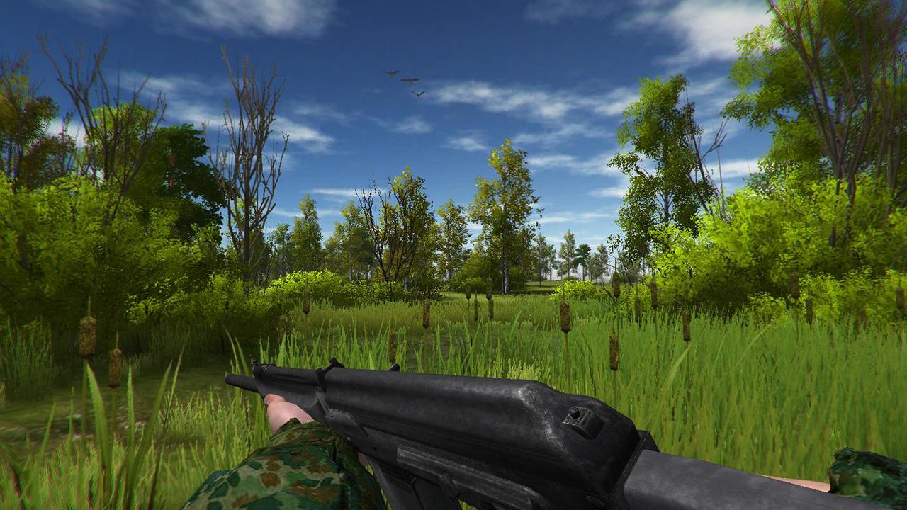 Screenshot №6 from game Duck Hunting