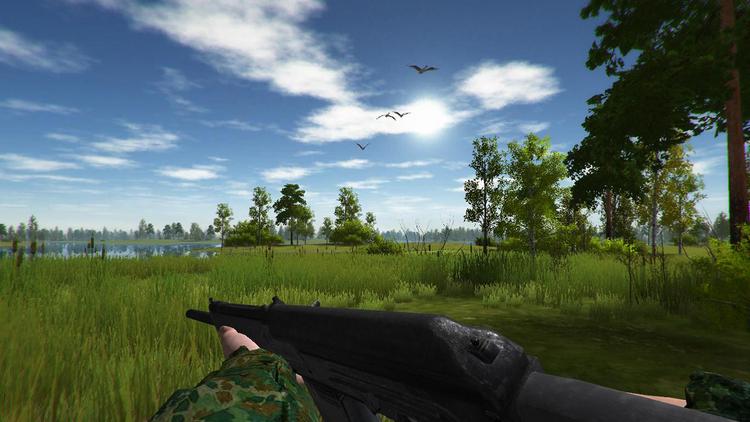 Screenshot №3 from game Duck Hunting